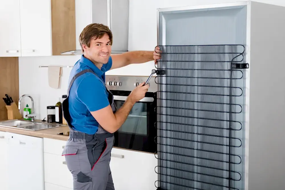 ankastre derin dondurucu servisi